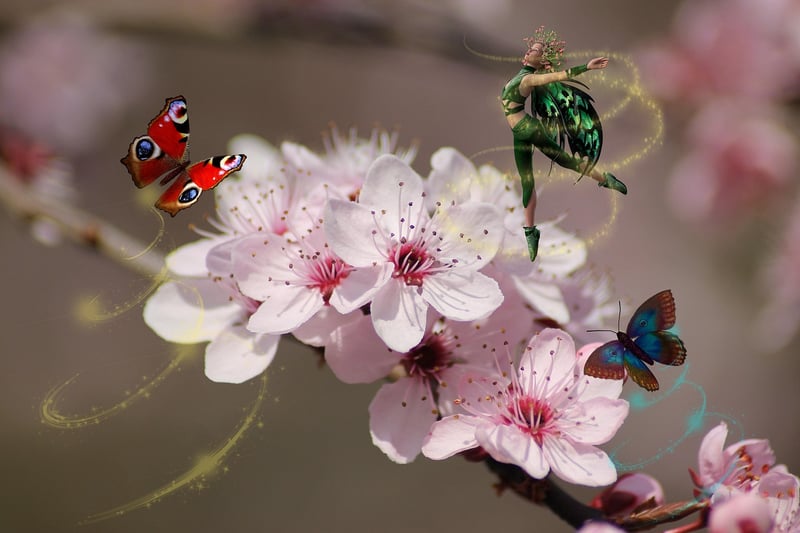 Fairy blossoms